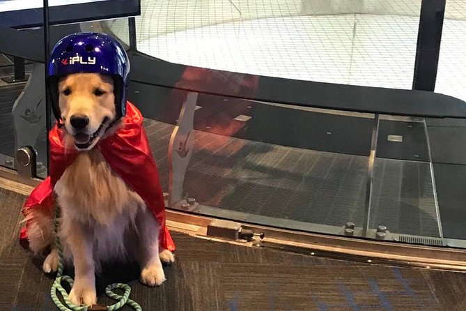 Houston Memorial Indoor Skydiving with 2 Flights & Personalized Certificate - What Reviewers Say About the Experience