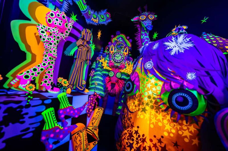 Houston: Meow Wolf - Radio Tave Ticket - Key Points