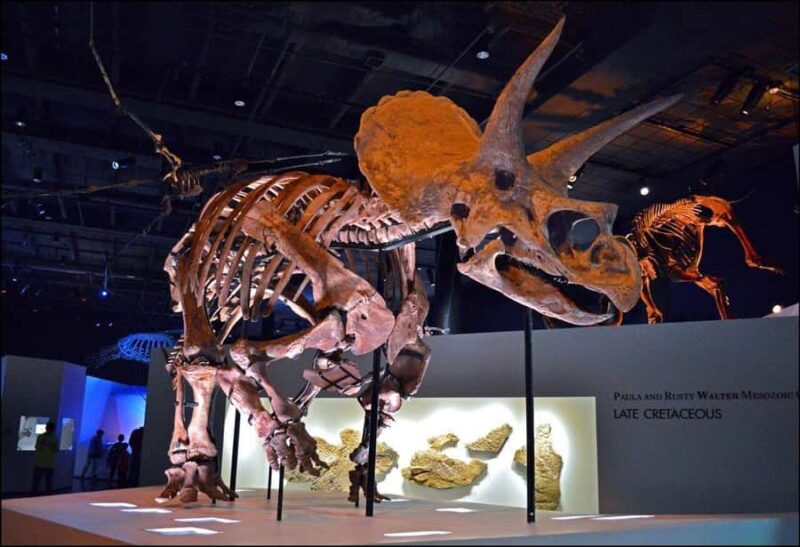 Houston: Museum of Natural Science Entry & Digital Tour - Key Points