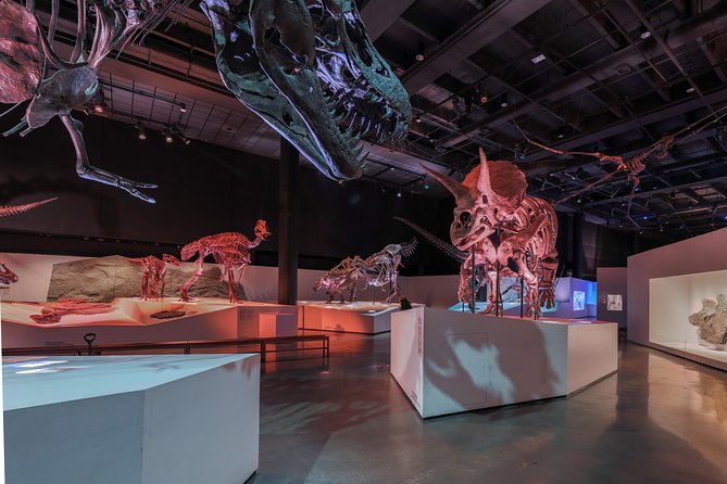 Houston Museum of Natural Science General Admission - Key Points