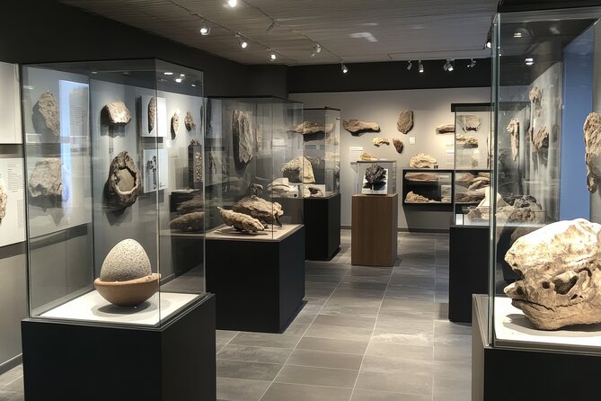 Houston Museum of Natural Science Private Tour with Tickets - Discovering the Gem and Mineral Collection