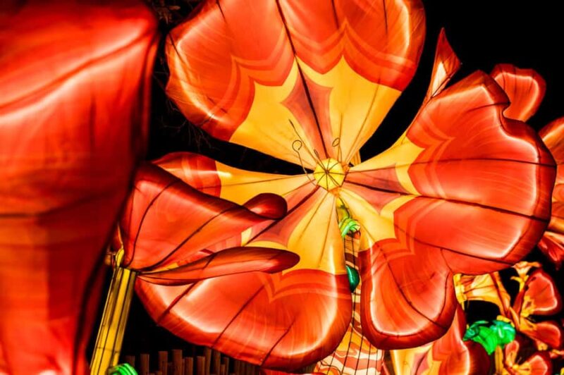 Houston: Radiant Nature Winter Light Show Tickets - Interactive Zones Bring Fun for All Ages