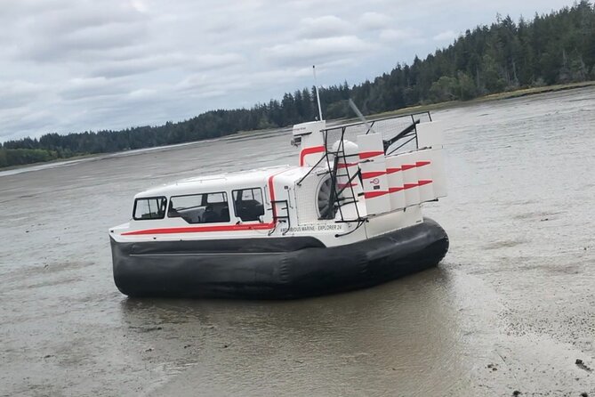 Hover Craft Scenic Tour in Talkeetna, Alaska - Customer Support and Booking Flexibility