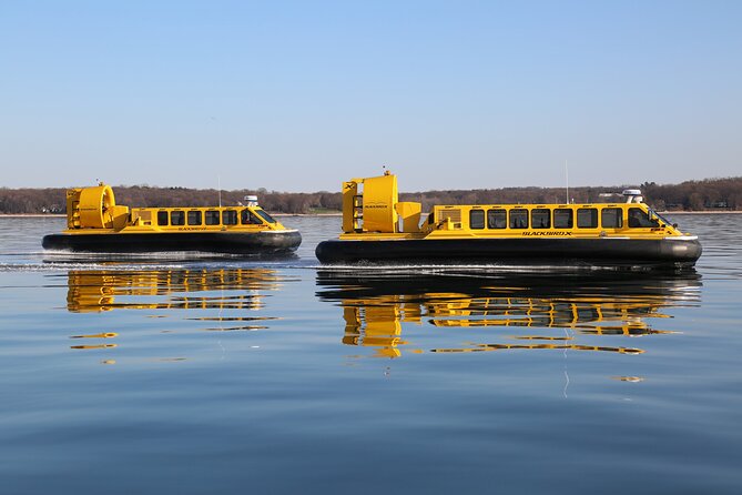 Hovercraft Eco Adventure and Wildlife Viewing - Expert Guides and Eco-Friendly Focus