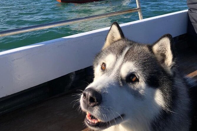 Howth Cliff Cruises - Meeting Point and Accessibility