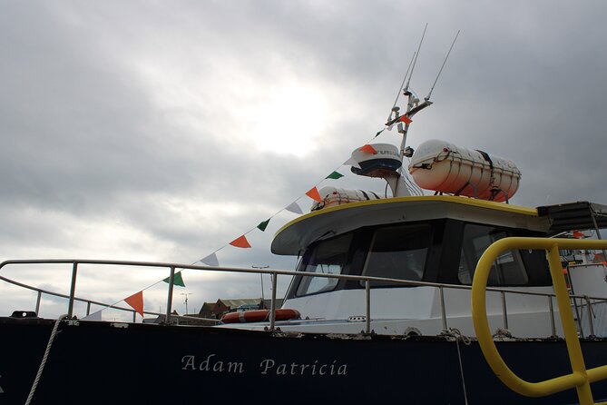 Howth Cliff Cruises - Practical Tips for the Cruise