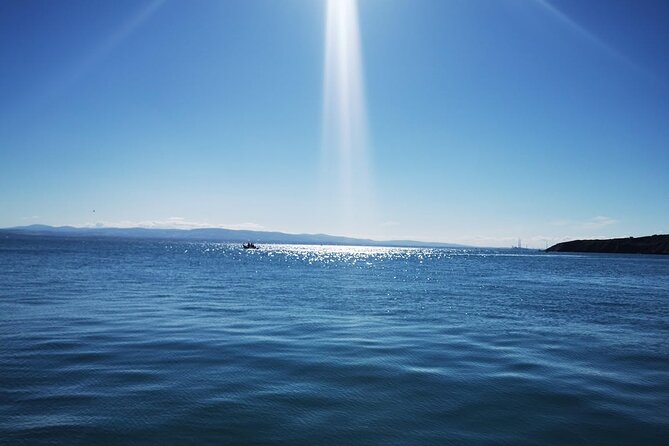 Howth Cliff Cruises - Who Will Love This Tour