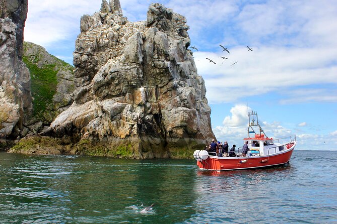Howth Coastal Boat Tour (Ireland's Eye Ferries 50 mins trip) - Discover the Howth Coastal Boat Tour for an Authentic Irish Seaside Experience
