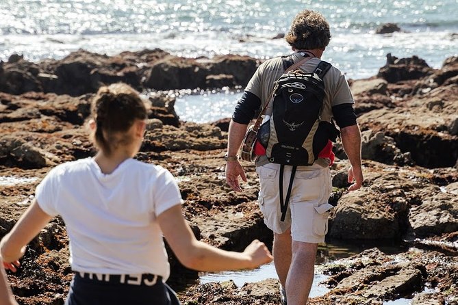 Howth Safari Hiking Tour - Practical Details and Group Experience