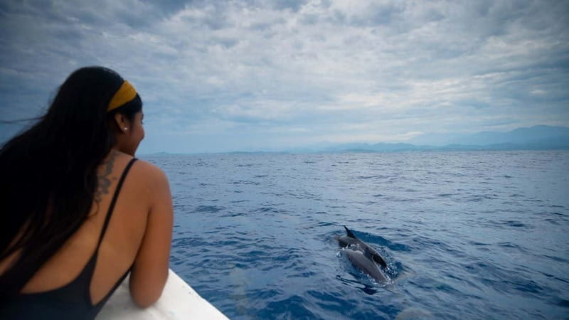 Huatulco: Awakening with Stars Dolphins Boat Cruise - Key Points