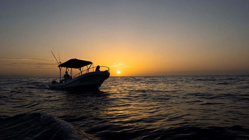 Huatulco: Awakening with Stars Dolphins Boat Cruise - Comparing Similar Huatulco Boat Tours