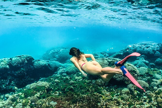 Huatulco Bahías Tour - Chachacual Bay: Snorkeling and Beach Relaxation