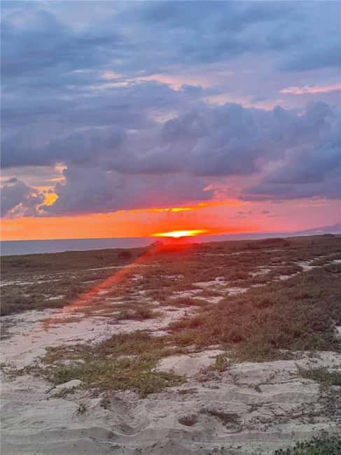 Huatulco: Bio and Liberation Tour - The Turtle Camp and Baby Turtle Release Experience
