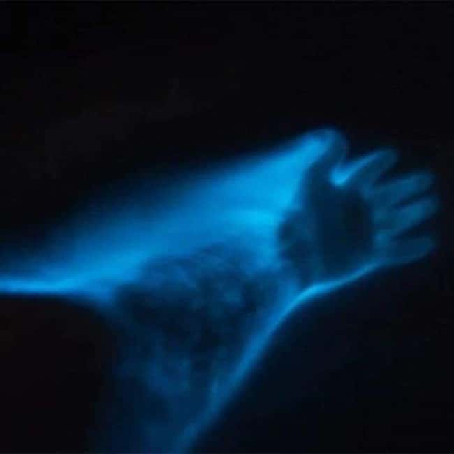 Huatulco: Bio and Liberation Tour - Practical Tips: What to Pack and Wear