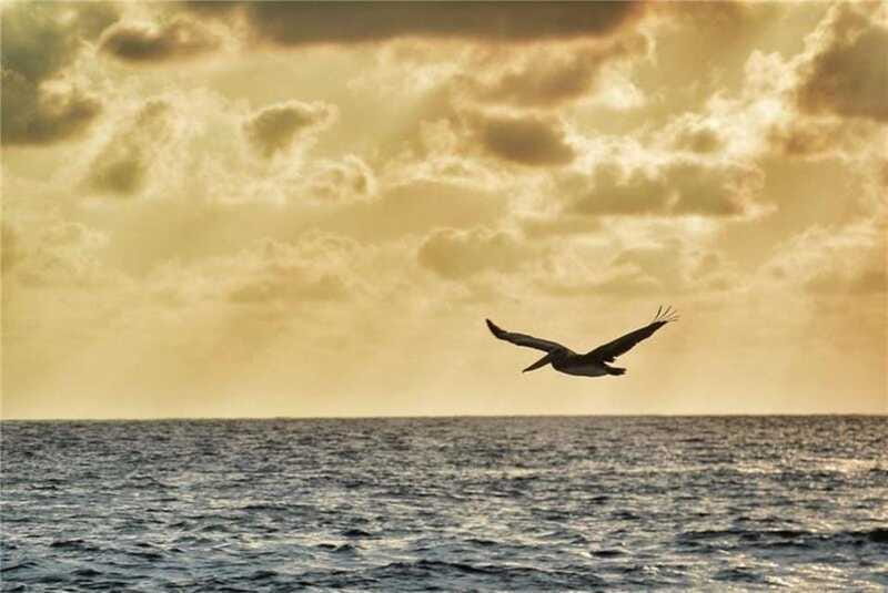 Huatulco: City Tour and Viewpoints - Sipping on Regional Spirit: Mezcal Tasting Experience