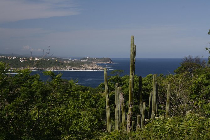Huatulco City Tour - Exploring Scenic Viewpoints Around Huatulco