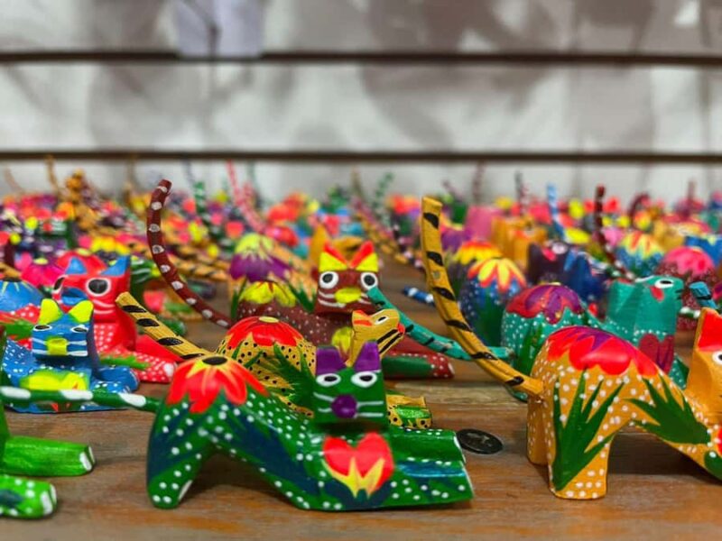 Huatulco: Create Your Own Alebrije and Painting Explanation. - Practical Tips for Participants