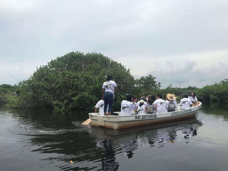Huatulco: Ecotour with Crocodiles & migrating birds - The Sum Up: A Natural and Scenic Day in Huatulco