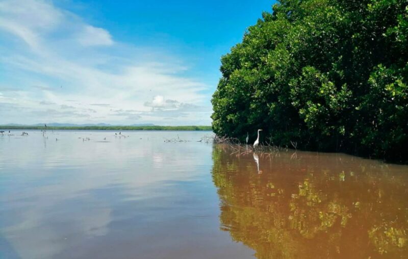Huatulco: Laguna de Chacahua Exploration - Relaxing on Chacahua Beach Amid Scenic Views