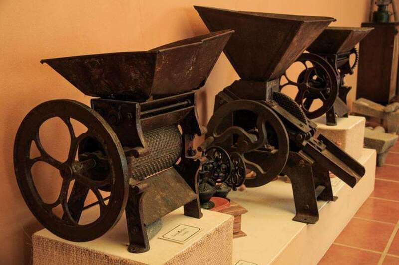 Huatulco: Local Coffee Tasting and Cultural Experience - Explore Oaxaca’s Coffee and Culture in a Full-Day Tour