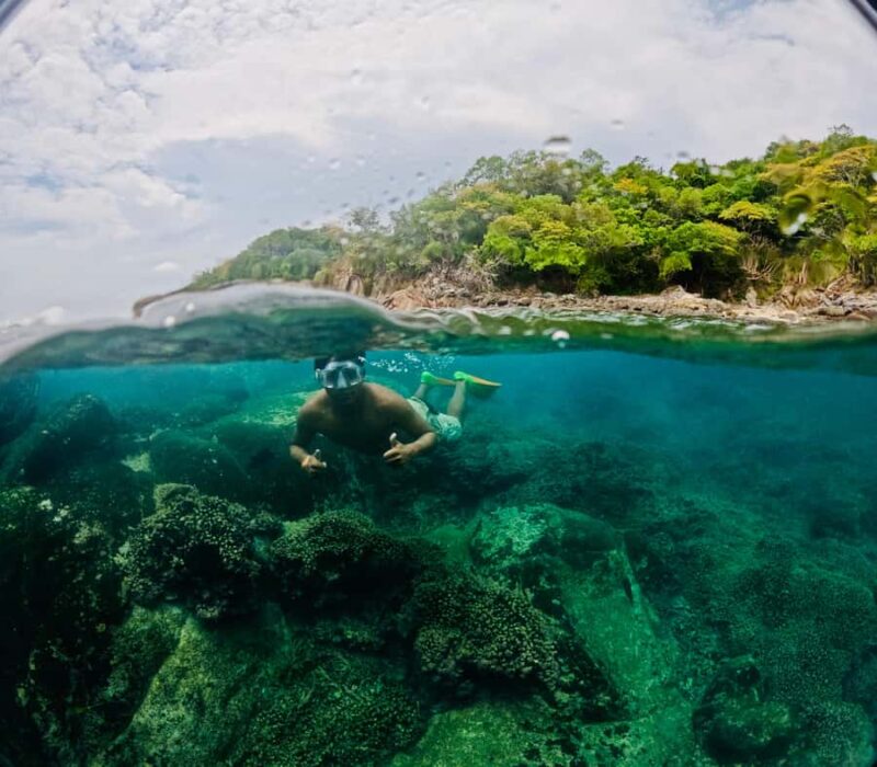 Huatulco: Marine mammal sighting and snorkeling - Dive into Huatulco’s Marine Wonders with a Biologist-Led Snorkeling Adventure