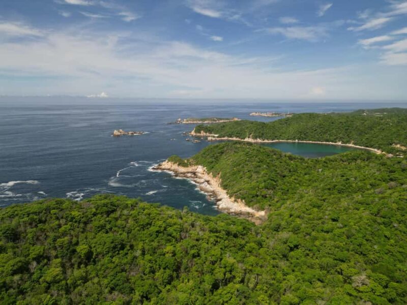 Huatulco: Marine mammal sighting and snorkeling - Meet the Marine Biologist Guide and Learn About Conservation