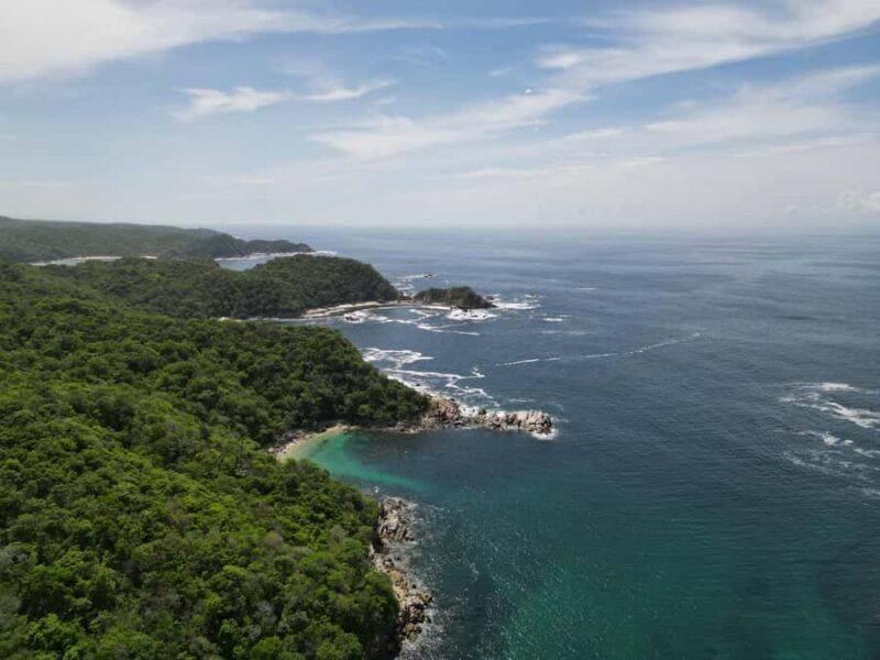 Huatulco: Marine mammal sighting and snorkeling - Practical Details: What to Bring and Personal Considerations