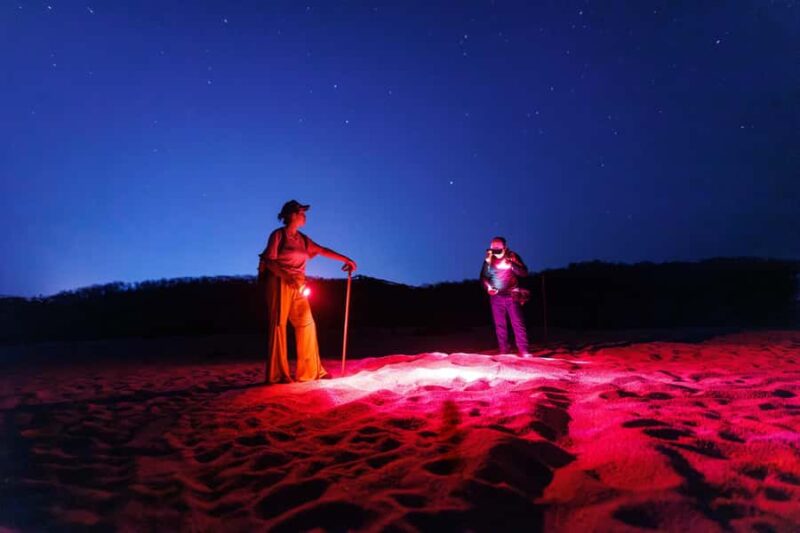 Huatulco: Nighttime sea turtle monitoring guided by a biologist - Discover Huatulcos Nighttime Sea Turtle Monitoring Tour with a Biologist