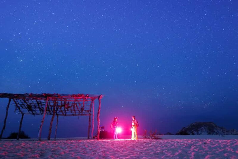 Huatulco: Nighttime sea turtle monitoring guided by a biologist - Key Points