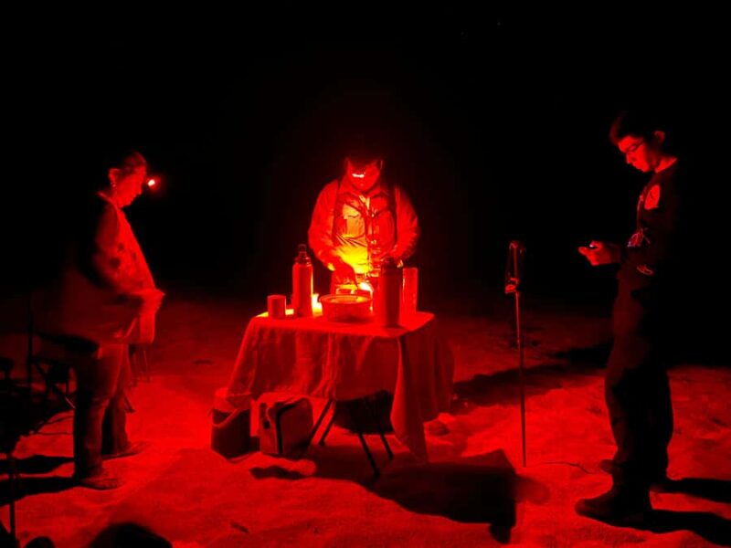 Huatulco: Nighttime sea turtle monitoring guided by a biologist - Unique Features of the Nighttime Turtle Monitoring Tour