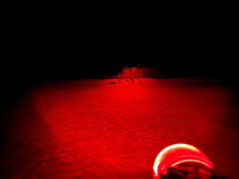 Huatulco: Nighttime sea turtle monitoring guided by a biologist - Connectivity with Other Huatulco Experiences