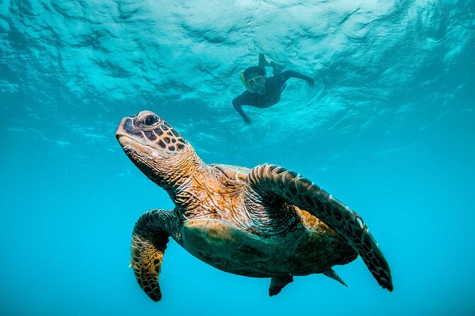 Huatulco Ocean, Bays & Coral Reef Snorkeling Adventures - Explore the Marine Wonders of Huatulco with Small Group Snorkeling Tours