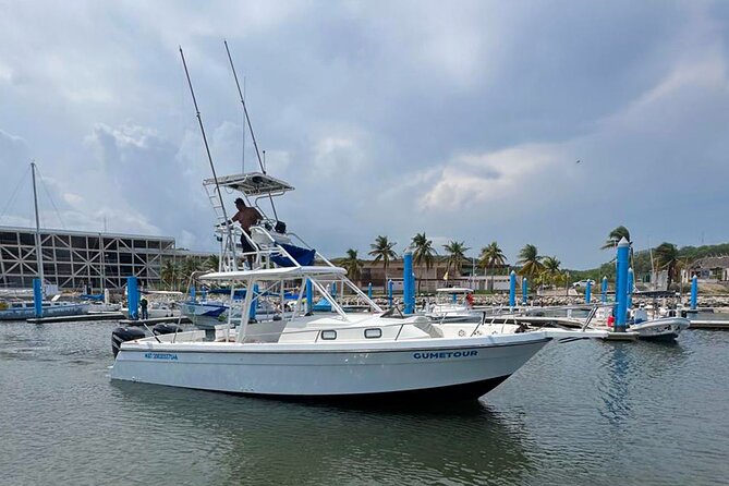 Huatulco Ocean, Bays & Coral Reef Snorkeling Adventures - Practical Details: Meeting Point, Duration, and Group Size