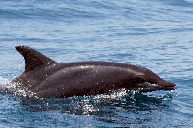 Huatulco Ocean, Bays & Coral Reef Snorkeling Adventures - Equipment, Inclusions, and Additional Costs