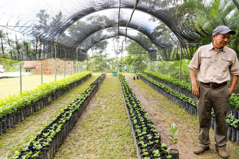 Huatulco: Pluma Hidalgo Coffee Origin and Essence. - Tasting Coffee and Learning About Production