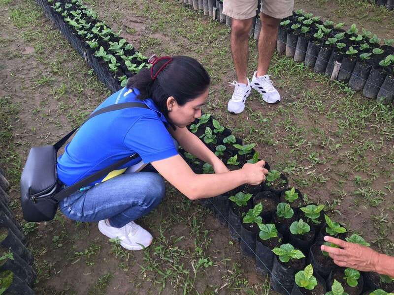 Huatulco: Pluma Hidalgo Coffee Origin and Essence. - Savoring a Traditional Meal in the Mountains