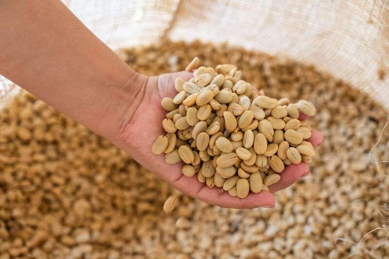 Huatulco: Pluma Hidalgo Coffee Origin and Essence. - Return Journey and Tour End in Tangolunda