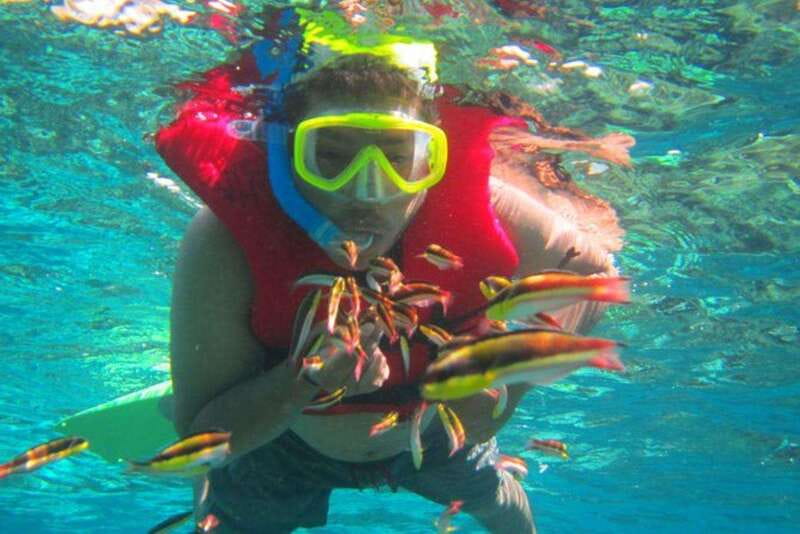 Huatulco: Premium Family Snorkeling Experience - Snorkeling in the Crystal-Clear Pacific Waters