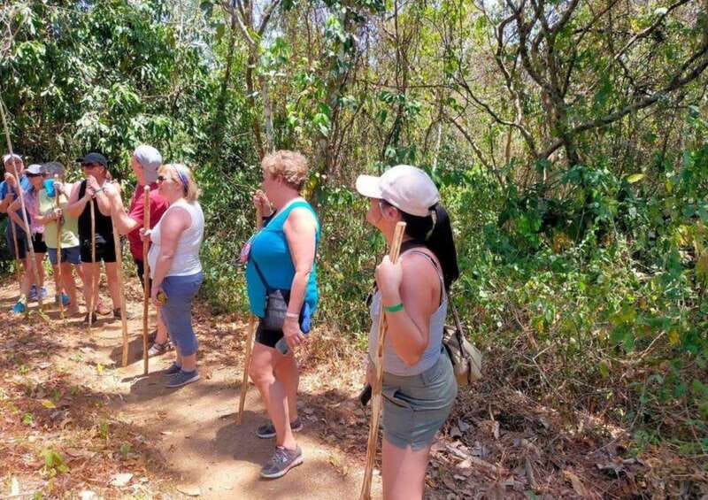 Huatulco: Private Coffee and Fruit Ranch Experience - Strolling Through the Fruit Trees Interpretive Trail