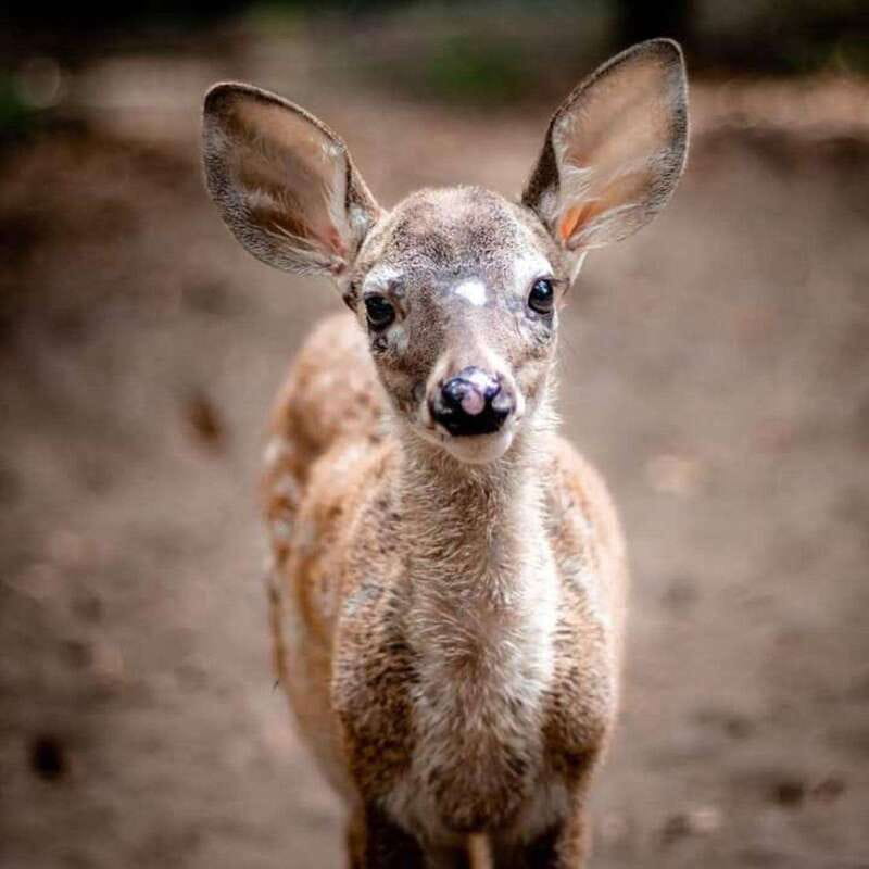 Huatulco: Puerto Angel, Zipolite, and Mazunte Day Trip - Discover the Charm of Oaxaca’s Coastal Towns on a Full-Day Trip from Huatulco
