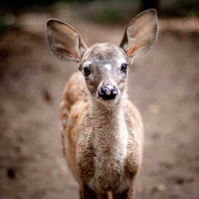 Huatulco: Puerto Angel, Zipolite, and Mazunte Day Trip - Lunch Break at a Traditional Ventanilla Country Restaurant