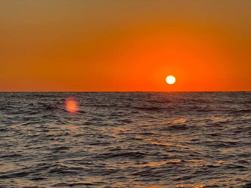 Huatulco: Sail at dawn and watch the marine life - The Guides and Languages Offered