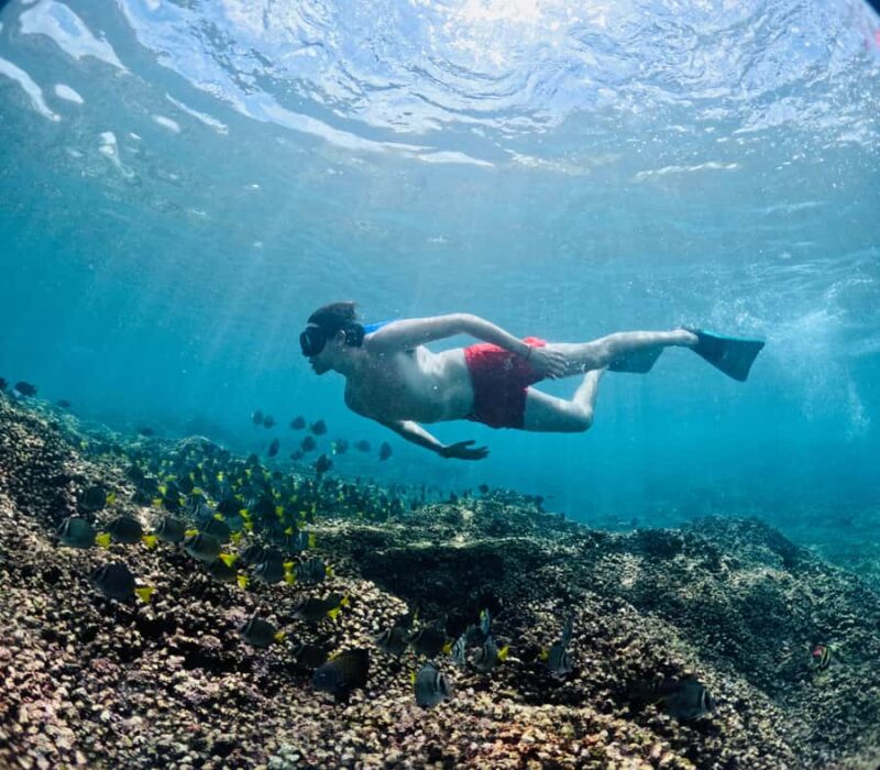 Huatulco: Snorkel at sunrise at La Entrega beach - Exploring the Mysterious Bat Cave