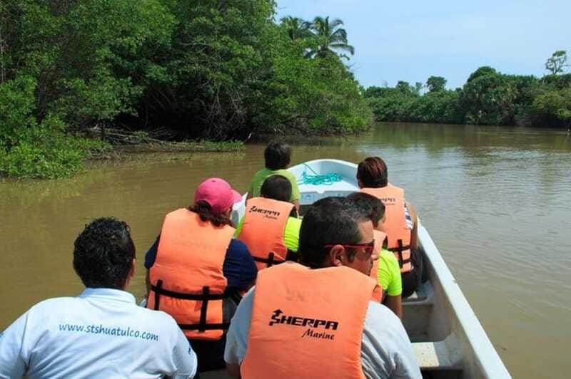 Huatulco: Turtles & Crocs Experience - Key Highlights of the Tour Experience