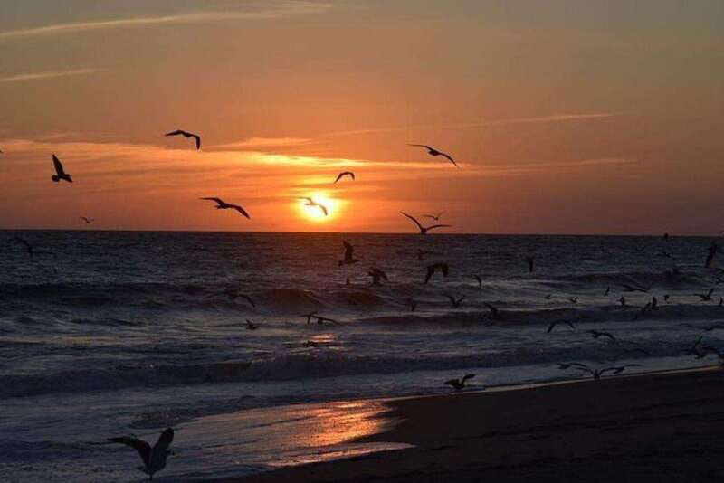 Huatulco: Unique Turtle Sanctuary & Sunset Experience - The Sum Up: A Meaningful and Scenic Day in Huatulco