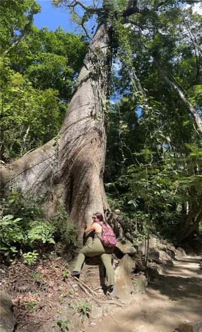 Huatulco: Waterfalls Tour with Buffet Lunch - Discover the Waterfalls of Huatulco with a Guided Tour and Buffet Lunch