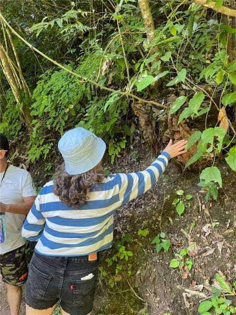 Huatulco: Waterfalls Tour with Buffet Lunch - Exploring the Waterfalls and Natural Pools