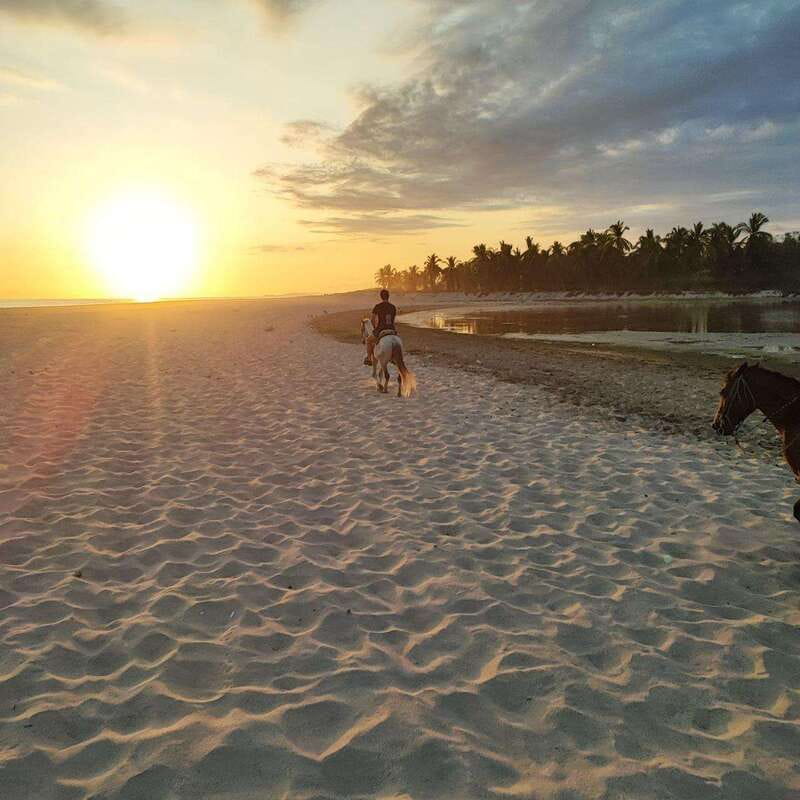 Huatulco:Turtle release,horseback riding and bioluminescence - Key Points