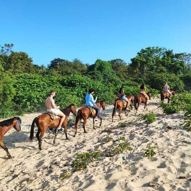 Huatulco:Turtle release,horseback riding and bioluminescence - Navigating the Lagoon and Experiencing Bioluminescence in Laguna de Manialtepec