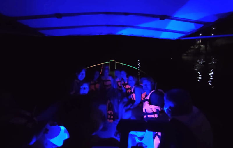 Huatulco:Turtle release,horseback riding and bioluminescence - Booking Flexibility and Cancellation Policy